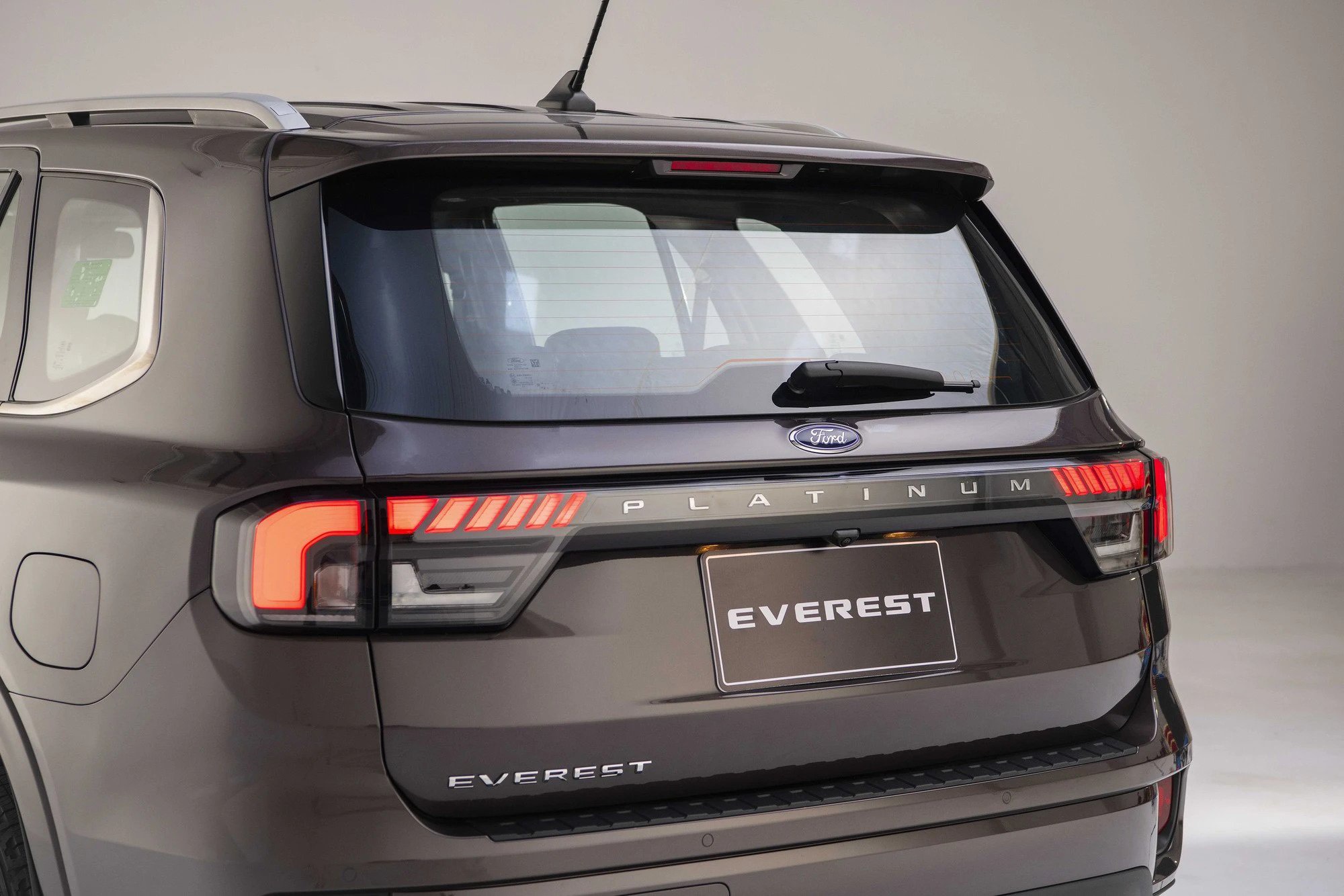 everest platinum