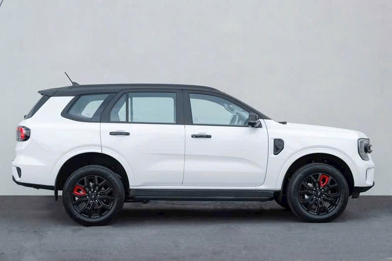 everest sport 2025